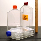 Flasks, Cell Culture